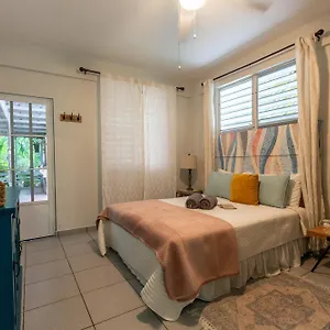 https://casa-pia-suave-2-jungle-seclusion-close-to-ocean.top-hotels-puertorico.com